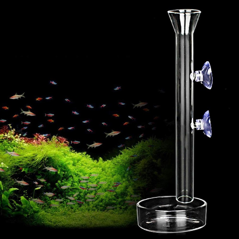 Shrimp Feeding Tube and Dish,Clear Crystal Glass Shrimp Feeder Tube Tray for Fish Tank Aquarium Shrimp 12