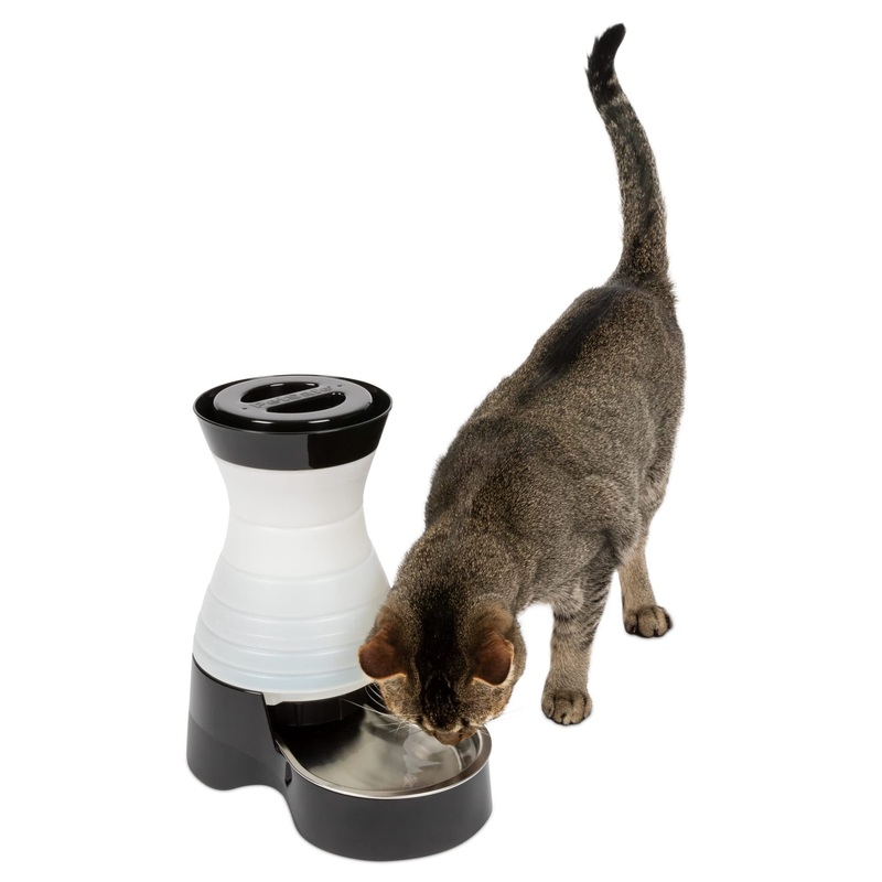 PetSafe Healthy Pet Water Station – Small, 64 oz Capacity, Gravity Cat & Dog Waterer, Removable Stainless Steel Bowl Resists Corrosion & Stains, Easy to Fill, Filter Compatible