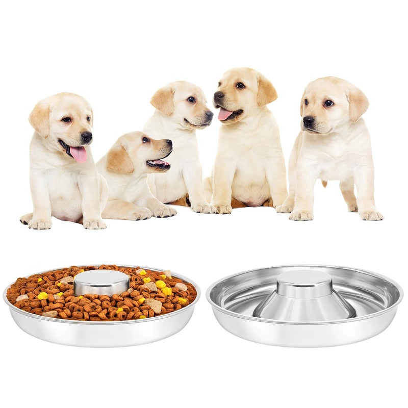 Stainless Steel Puppy Bowls 2 Pack, Pet Slow Feeder Bowls, Water Bowl, Feeding Weaning for Small Medium Large Dogs, Cat, Pets (2 Pack, Medium1.3 x 10) Medium1.3 x 10