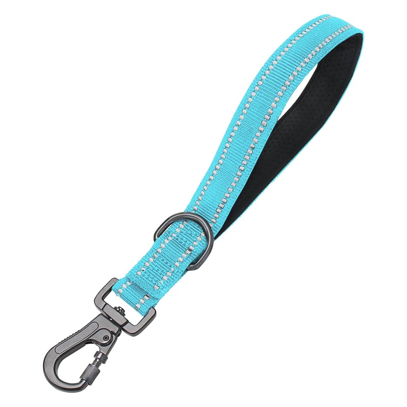 12 Inch Training Dog Short Leash with Padded Handle for Large Dogs, Dog Lead with Locking Carabiner Clip, Strong Training Leash (Blue, 12 Inch) 12 InchFT Blue