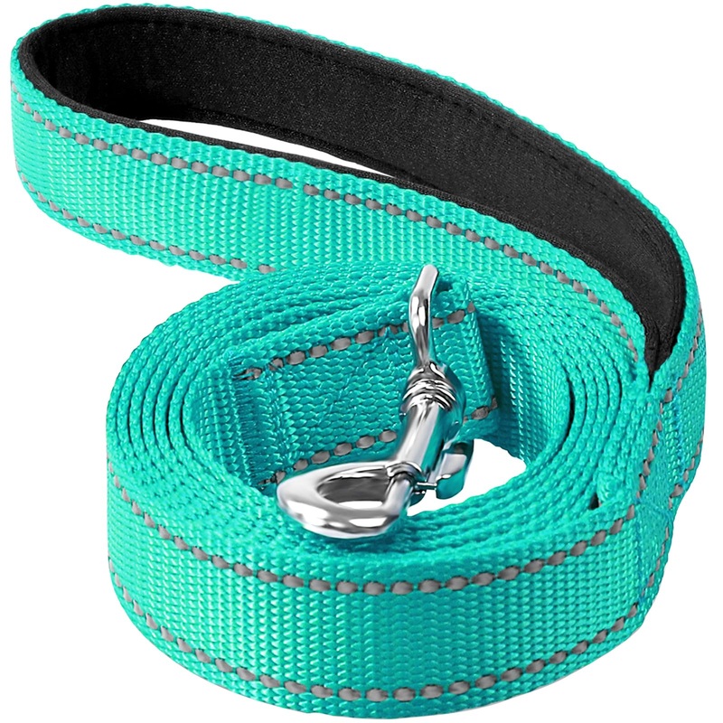 6ft Dog Leash for Small Medium Large Dogs | One-Sided Reflective Nylon | Padded Handle | 3/4 inch Wide | Turquoise 3/4″*6′