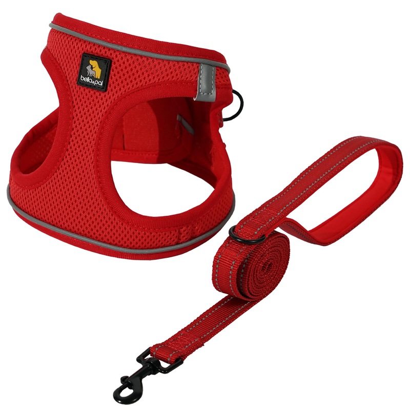 BELLA & PAL Puppy Harness with Leash Set, Dog Harness for Small Dogs No Pull, Dog Leash for Small Dogs, Step in Harness for Extra Small Dogs, Red Harness, S