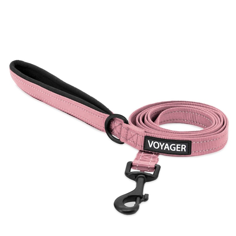 Best Pet Supplies Voyager Reflective Dog Leash with Neoprene Handle, 5ft Long, Supports Small, Medium, and Large Breed Puppies, Cute and Heavy Duty for Walking, Running, and Training – Pink,3/4″ x 5ft Leash (Pink) 3/4″ x 5ft