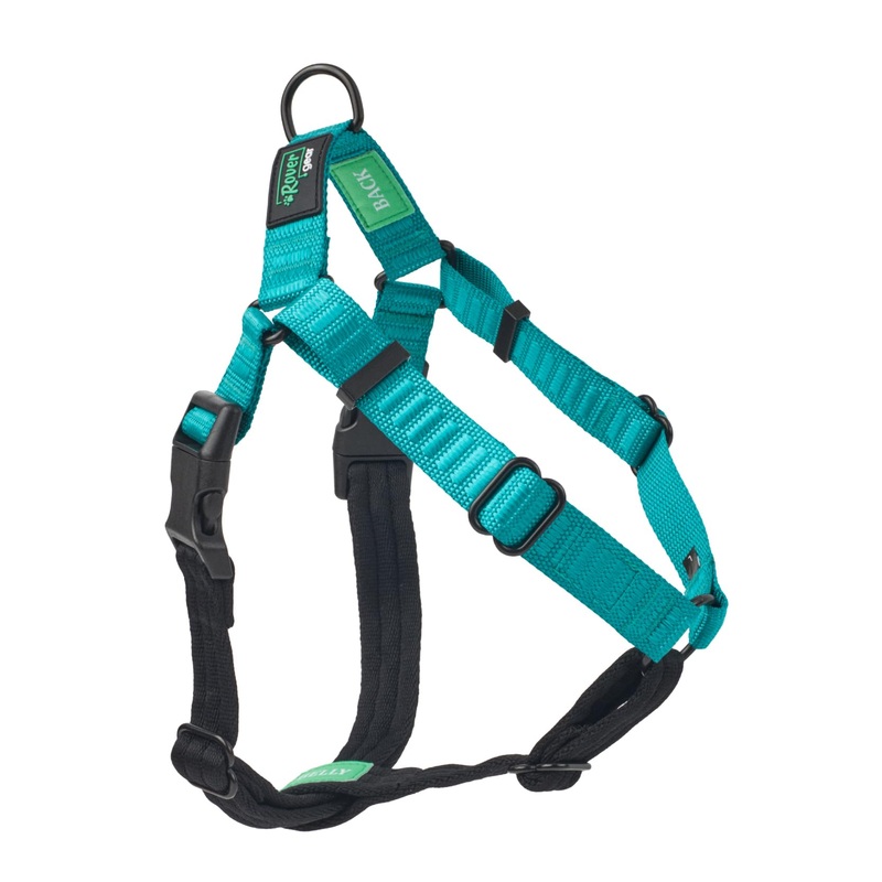 Better Walk No-Pull Dog Harness, Teal, 1 Medium  Stay in Control with Adjustable, Comfortable, Easy to Wear, & Durable Dog Harness  Ideal for Medium Dogs 35-65lb Aqua Teal