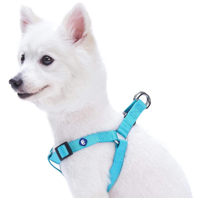 Blueberry Pet Essentials Matching Small Dog Harness | Adjustable Classic Solid Nylon No Pull Harness for Dogs | Easy Walk Dog Harness for Small Dogs & Step in Dog Harness | Turquoise Dog Harness (16.5″ – 21.5″) Chest Girth (Pack of 1)
