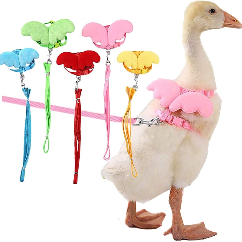 Bonaweite Pet Cole Duck Outside Walking Harness Leash, Adjustable Outdoor Training Traction Rope for Chicken Goose Hen Medium Pink