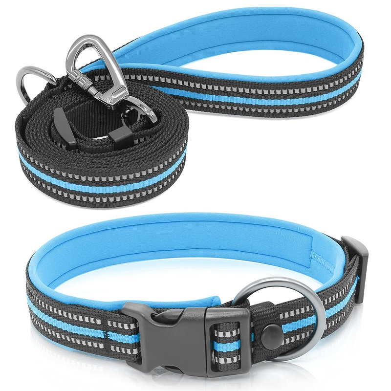 BSEEN Reflective Dog Collar and Leash Set – Adjustable Nylon Dog Collar& Leash with Neoprene Padded, Heavy Duty Dog Collar with 5 Feet Dog Lead for Dog Walking (Blue, Small) Blue