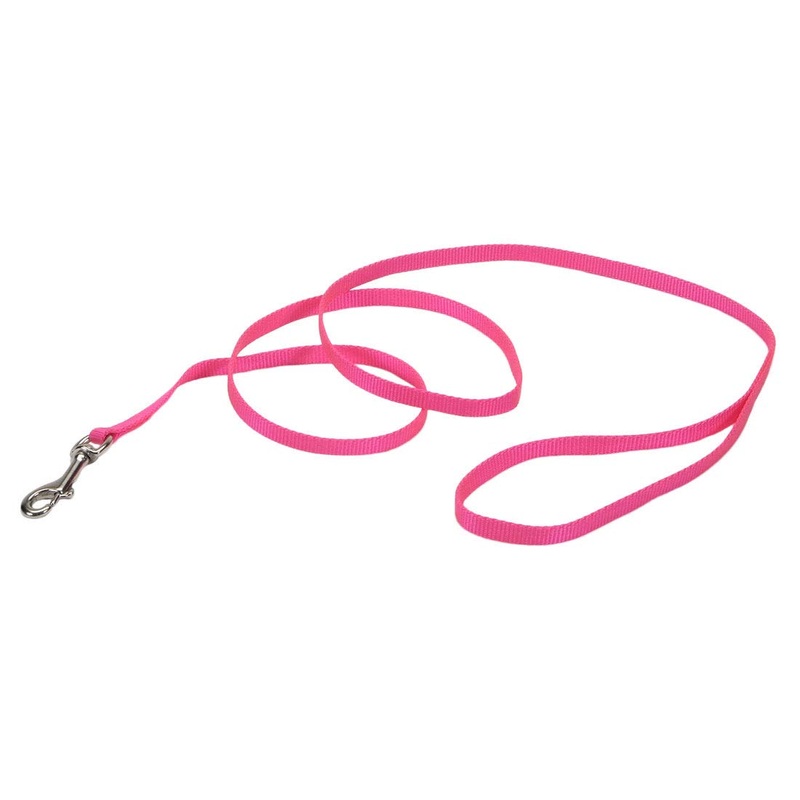 Coastal Pet Single-Ply Dog Leash – Leashes for Puppies & Dogs – Fade-Resistant Dog Leash – Features a Bolt Snap – Pet Supplies for Dogs – Neon Pink, 3/8″ x 6′ 3/8″ x 6′ (Pack of 1)