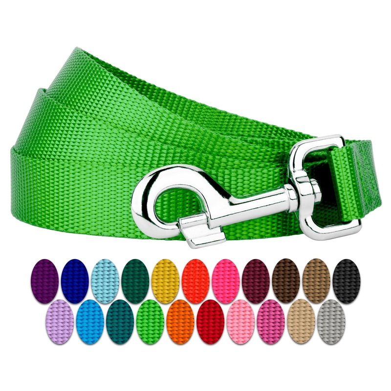 Country Brook Petz 1 Inch Nylon Durable Traditional Style Dog Leash with Easy to Use Snap for Small, Medium, Large Breeds – 25+ Colors (Hot Lime Green, 6 Foot) 6 Foot X 1 Inch Wide Hot Lime Green