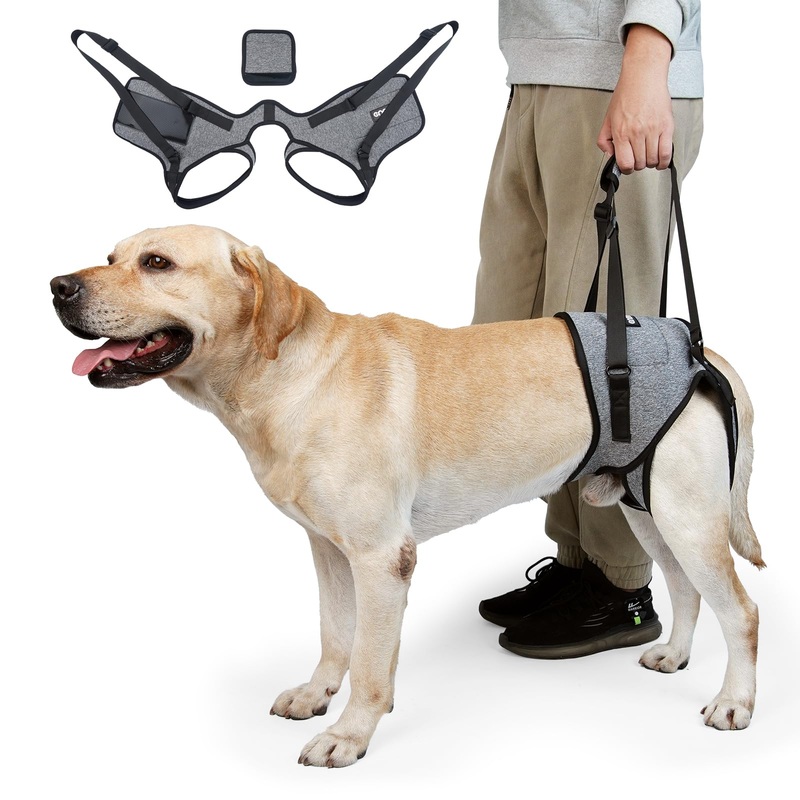 Dog Lift Harness, Dog Sling for Medium Large Dogs, Adjustable Dog Support Harness for Back Legs, Comfy Design Pet Harness with Padded for Elderly, Injured, Arthritic, Senior, Disabled Dogs XL