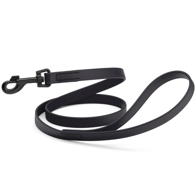 Dogline Biothane Waterproof Dog Leash Strong Coated Nylon Webbing with Black Hardware Odor-Proof for Easy Care Easy to Clean High Performance for Small or Large Dogs Made in USA 4 or 6 ft Lead W3/4″ x L4′