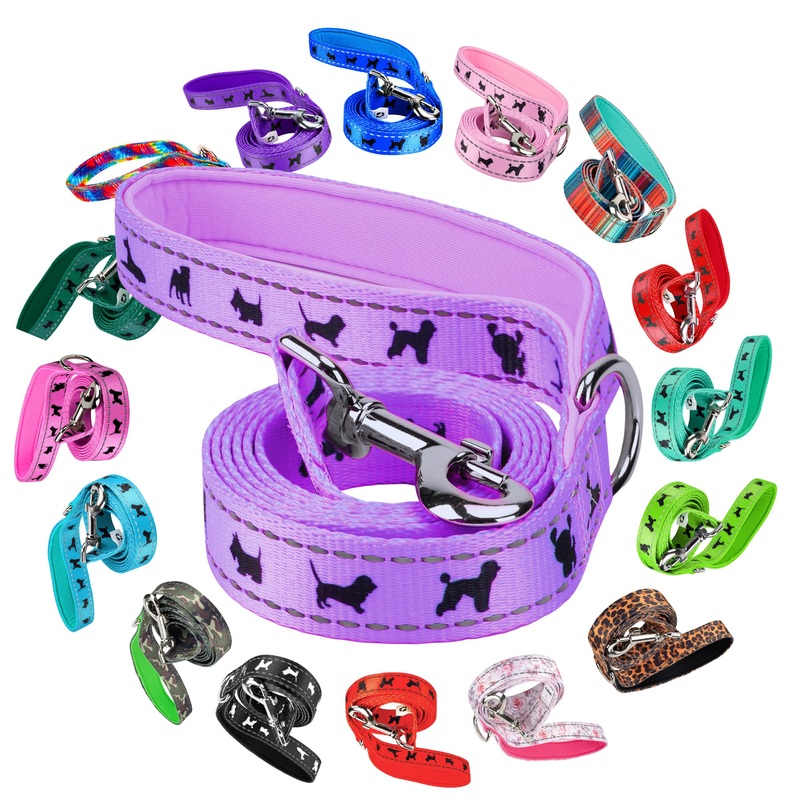 EcoBark Dog Leash – 4 FT / 5 FT / 6 FT Reflective Dog Leash- Eco-Bright Dog Leashes with Padded Handle – Strong Heavy Duty Dog Leash – Nylon Dog Leash for Small and Medium Dogs (Lavender Dog Leash) 5ft x 3/4 inch Lavender