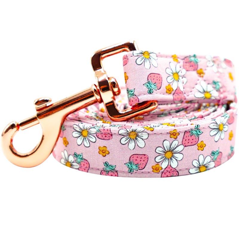 Lionheart glory Strawberries Print Dog Leash Pink Durable Dog Leashes with Comfortable Soft Handle for Small Medium and Large Spring Summer Dog Leash Girl or Boy Dogs Small (Pack of 1 L:Strawberries