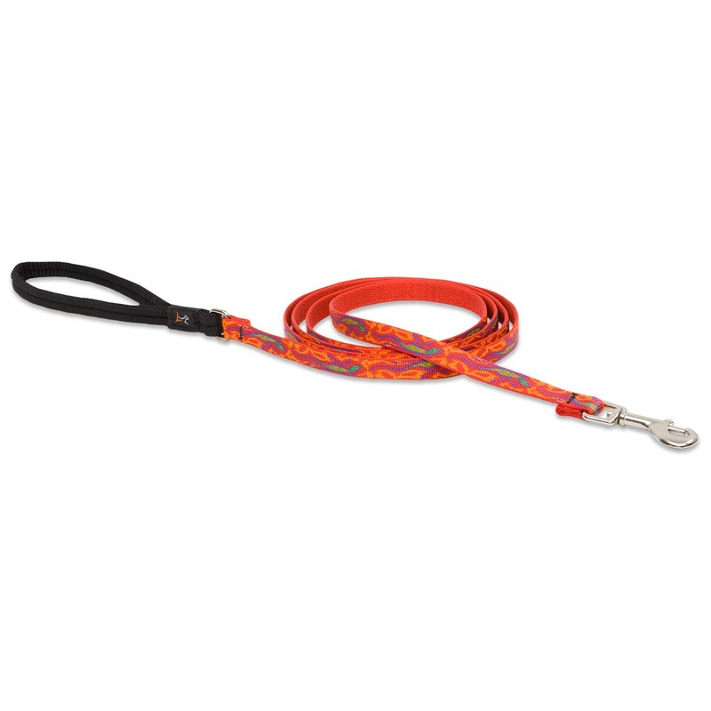 LupinePet Originals 1/2″ Go Go Gecko 6-foot Padded Handle Leash for Small Pets 6-Feet