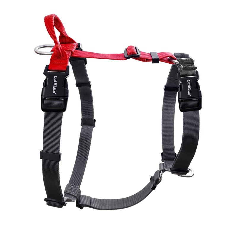 No Pull Dog Harness, Non-Restrictive Harness with Neck Buckle, Nylon Straps, Aluminum D-Rings, 6 Points Adjustment for Ultimate Fit, Easy Walking and Training (Red/Black, S) Red/Black