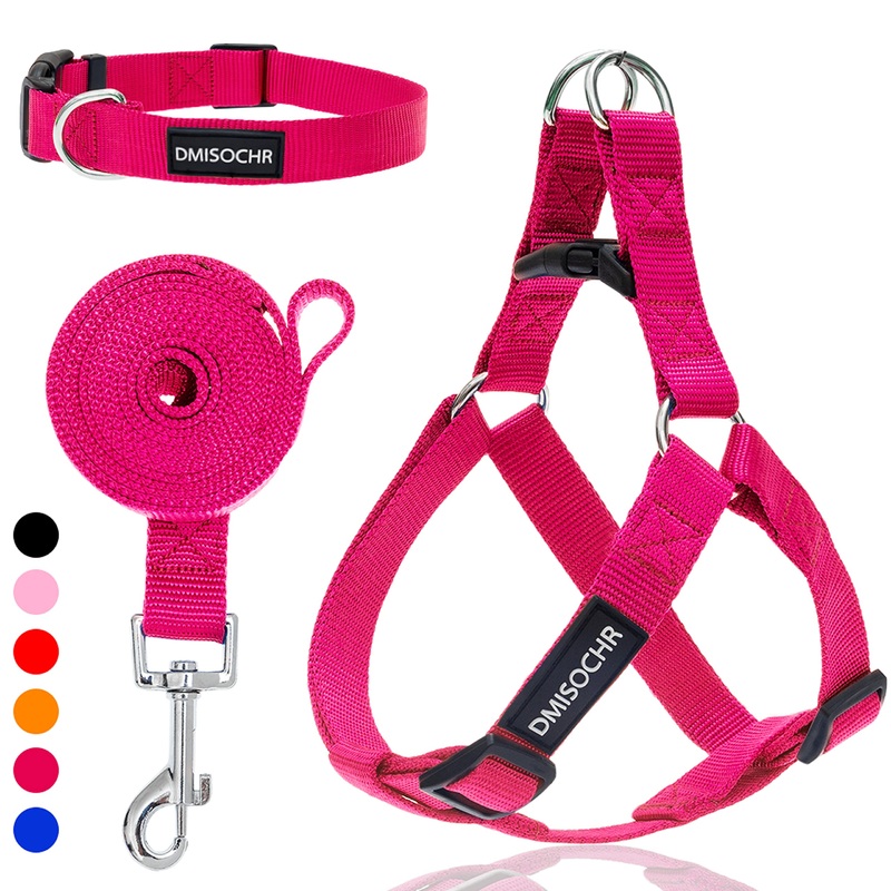 No Pull Dog Harness – Step in Dog Harness and Leash for Small Medium Large Dog – Escape Proof Adjustable Soft Dog Harness Leash Collar Set for Walking Training Hiking Outdoor MEDIUM (chest: 17.3″-23.4″ neck: 12″-16″) Rose Red