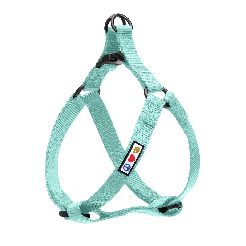 Pawtitas Solid Color Step in Dog Harness or Vest Harness Dog Training Walking of your Puppy Harness Small Dog Harness Teal Dog Harness Small (Pack of 1) Teal  Solid