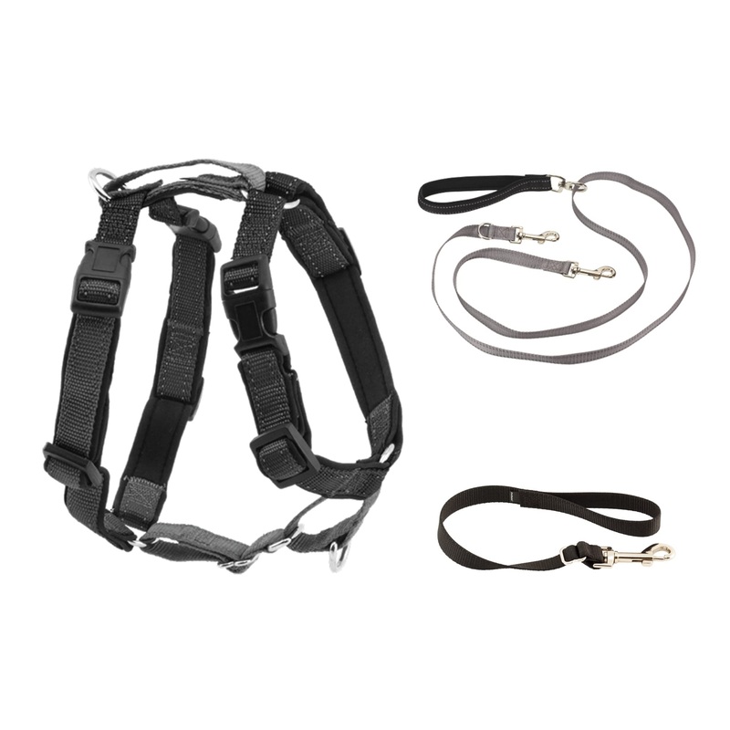 PetSafe 3 in 1 Harness with Two Point Control Leash – No-Pull Harness – Medium – Black – Adjustable Medium (Pack of 1)