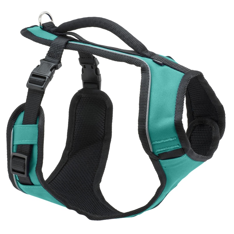 PetSafe EasySport Harness  Padded Straps  Fully Adjustable  Elastic Neckline  Best for Athletic Dogs  Top Handle for Quick Control – Large – Teal