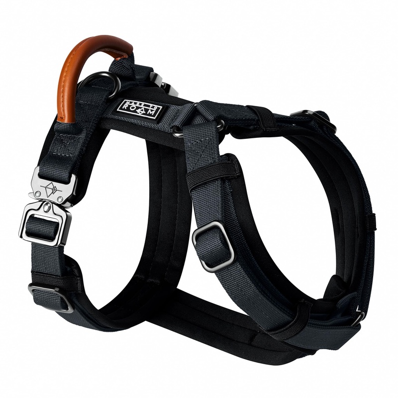 Premium Explorer Harness – Y-Shaped Dog Harness with Adjustable Durable Nylon, Soft Padding, Metal Buckles and Leather Handle for Small, Medium, Large Dogs (New York Afterlight, Size 4) New York Afterlight