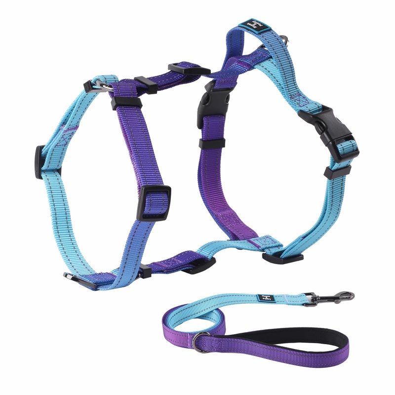 Roses&Poetry Small Dog Harness and Leash Set, No Pull Dog Harness Adjustable Reflective, Dog Halter Harnesses Comfort Padded Handle, Pet Harness for Training Outdoor WalkingGsky-S S Violet