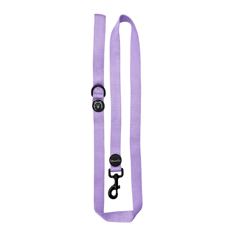 ShawnCo Dream Walk Dog Leash- Premium, Nylon Pet Leash with Soft Neoprene Handle for Small, Medium and Large Dogs (ICY Lilac, Medium/Large) Icy Lilac