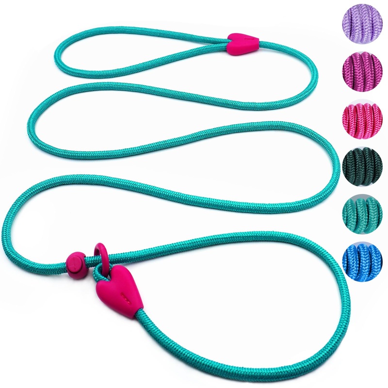 Slip Lead No Pull Dog Leash Slip Leads for Dogs Puppy Leash 6FT Slip Leash for Dogs Dog Lead with 6 Colors Strong Nylon Dog Training Leash Dog Leash (Green) Small Lake Green