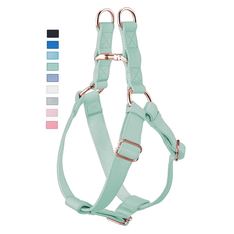 Soft Leather No Pull Dog Harness – Adjustable Step in Dog Harness with Rose Gold Heavy Duty Metal Buckle, Freedom Nylon Dog Halter Vests for Small Medium Large Dogs Easy Walking Training (Green,S) Mint Green S (Neck&Chest Girth 14″-21″ x Width 0.8″)