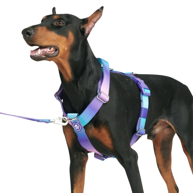 Spark Paws No-Pull Dog Harness – Designed for Safety and Control, Ideal for Large, Strong Breeds – Pitbulls, Boxers – 90s Retro  M Medium