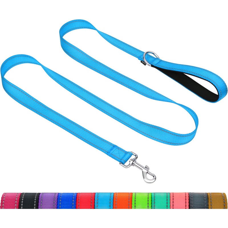 Taglory Dog Leash for Small Dogs | Double-Sided Reflective | Soft Neoprene Padded Handle | 3/4 inch by 5ft | Fit Small Medium Large Breeds Dogs Under 20lbs | Sky Blue 3/4 in x 5 ft (Pack of 1)