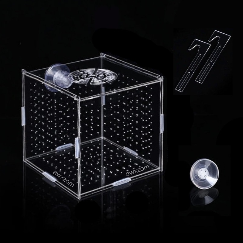 Acrylic fish breeding box, Acrylic Fish Isolation Box, fish separator for aquarium, Hatchery Incubator with Suction Cups for Small Baby Fishes Shrimp Clownfish Guppy (3.9 * 3.9 * 3.9inch) 3.9 * 3.9 * 3.9inch