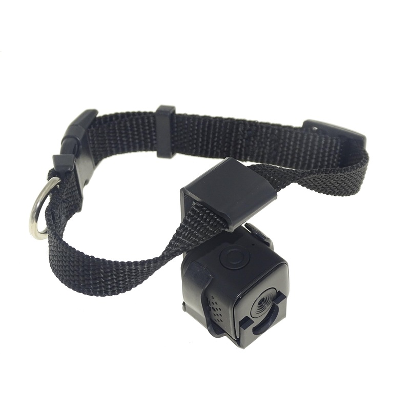 Digital Pet Collar Indoor HD 1080P Cam Camera DVR Video Recorder Monitor for Dog Cat Puppy