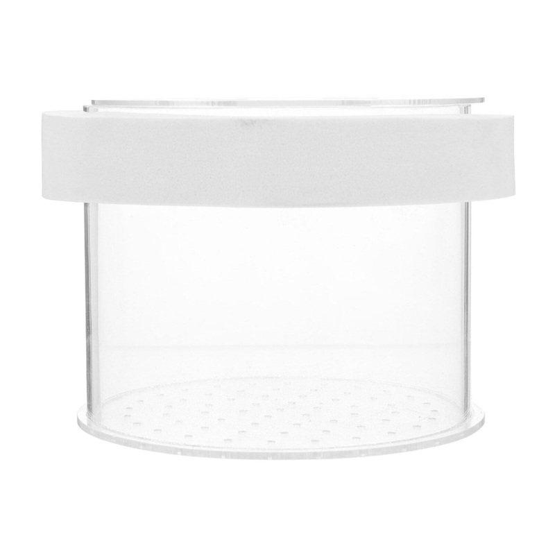 Fish Breeding Box – Acrylic Aquarium Box Fish Tank Separate Box Fish Box Aquarium Hatchery Incubator Aquarium Breeding Box for Shrimp Small Fish 10X10X8CM Transparent