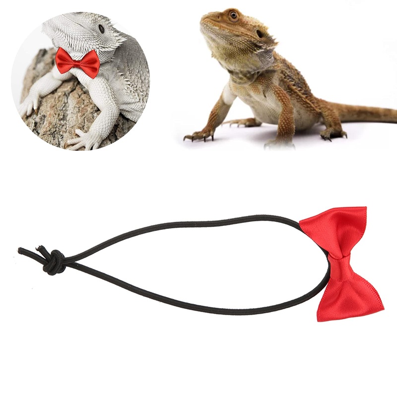 Bearded Dragons Bowtie Set, Exquisite Lizard Bow Leash Set Safe Lovely for Hamsters for Outdoor for Lizards(Red Bow tie)