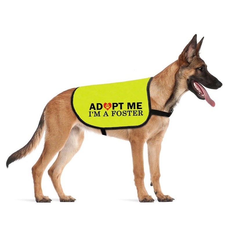 CENWA Adopt Me Im A Foster Dog Jacket Vest Adopt Me Dog Jacket Vest New Puppy Dog (I’m A Foster L) I’M A FOSTER L