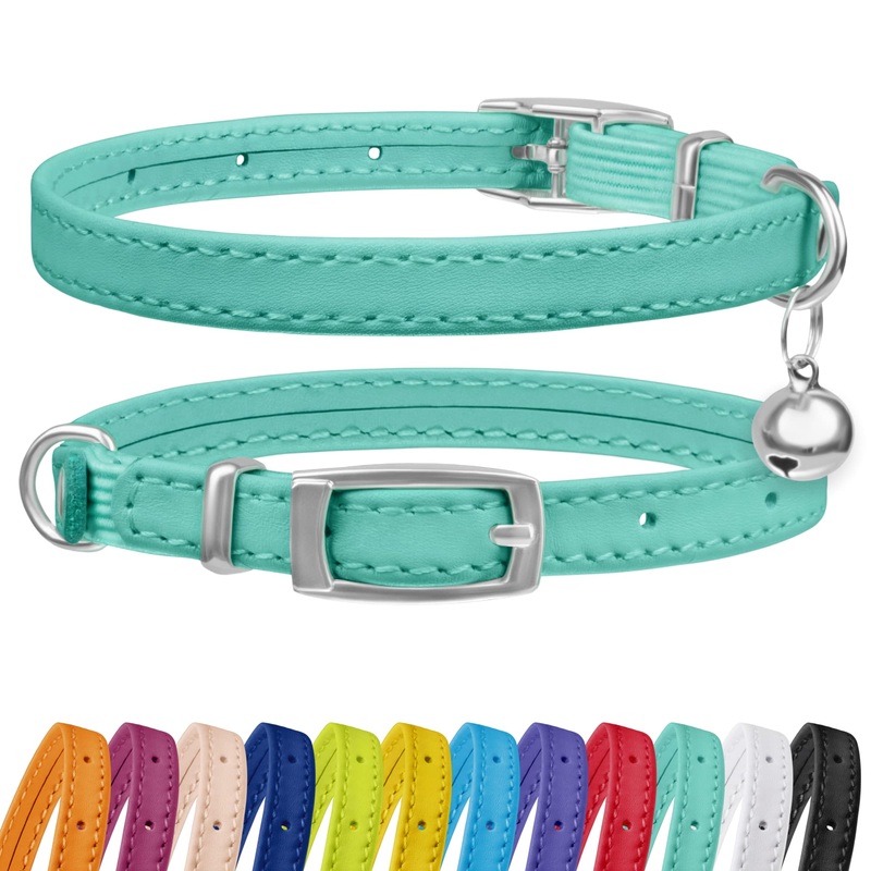 CollarDirect Leather Cat Collar with Bell – Kitten Collar, Small and Big Cat Collar for Boy Cats, Girl Cats with Safety Elastic Strap (Neck Fit 8″-11″, Mint Green) 8-11 Inch (New)
