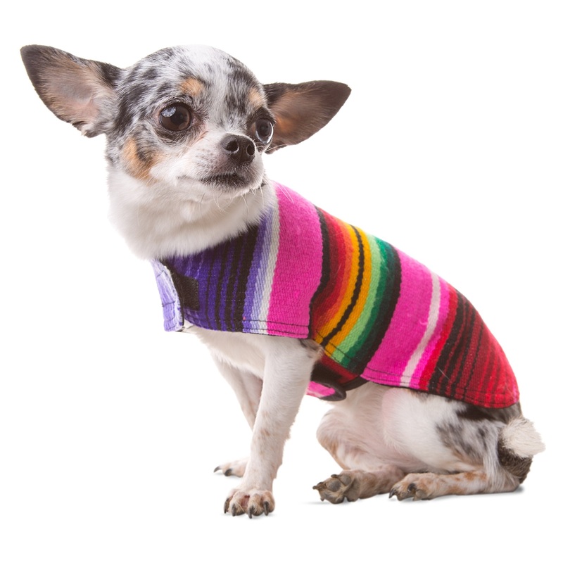 Dog Clothes – Handmade Dog Poncho – Cinco De Mayo Chihuahua Costume from Authentic Mexican Blanket (Pink, XXS) Pink XX-Small