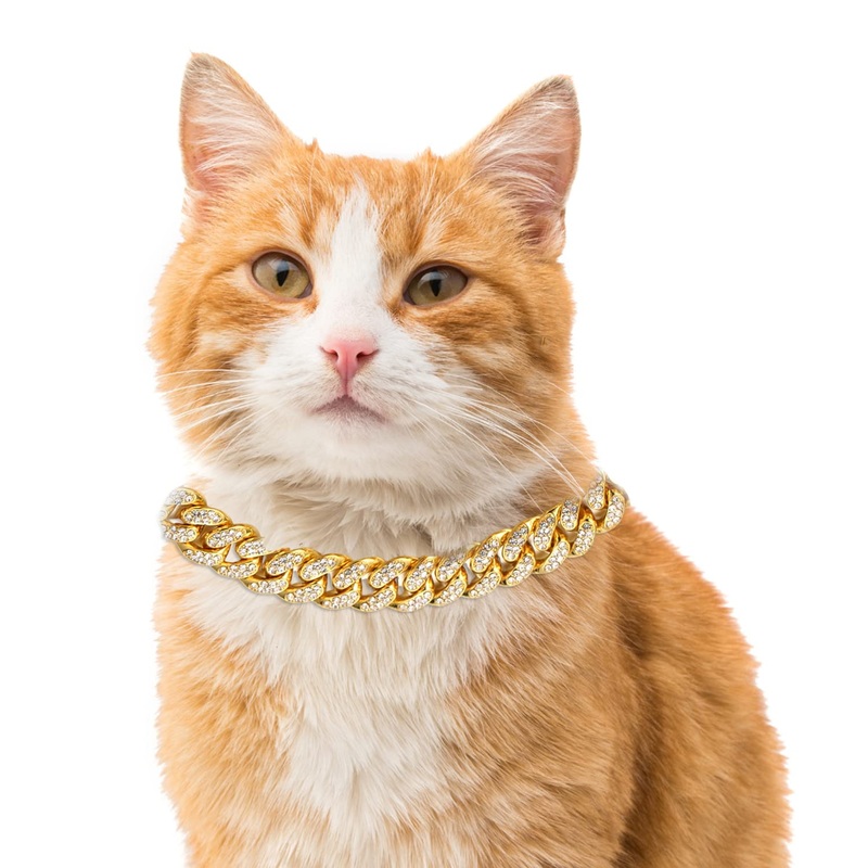 Halukakah Cat Collar – Carat – Iced Out Diamond Cuban Link Gold Chain for Cats & Kittens – 18k Real Gold Plated 9″ Collar Size – for Decoration Only – Get Your Cat Catwalk Ready 9″ Medium Breed Fit | Shorthair, Scottish Fold