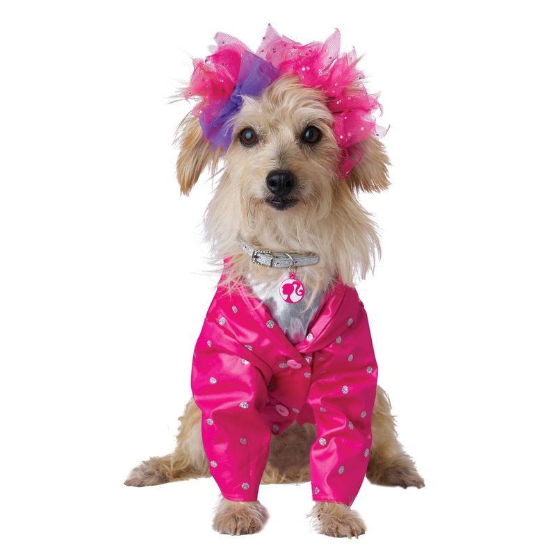 Barbie and The Rockers Dog Costume Medium Pink