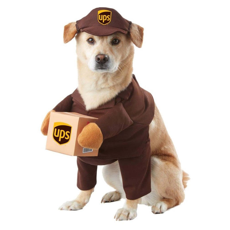 California Costumes UPS Dog Costume – M Medium