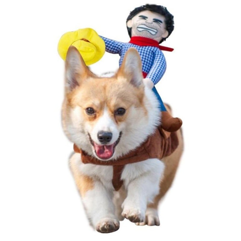 Deluxe Cowboy Rider Pet Costume – Funny Dog Halloween Outfit with Doll and Hat, Adjustable Knight Style Costume for Labs, German Shepherds, and Golden Retrievers, and More (XS) XS