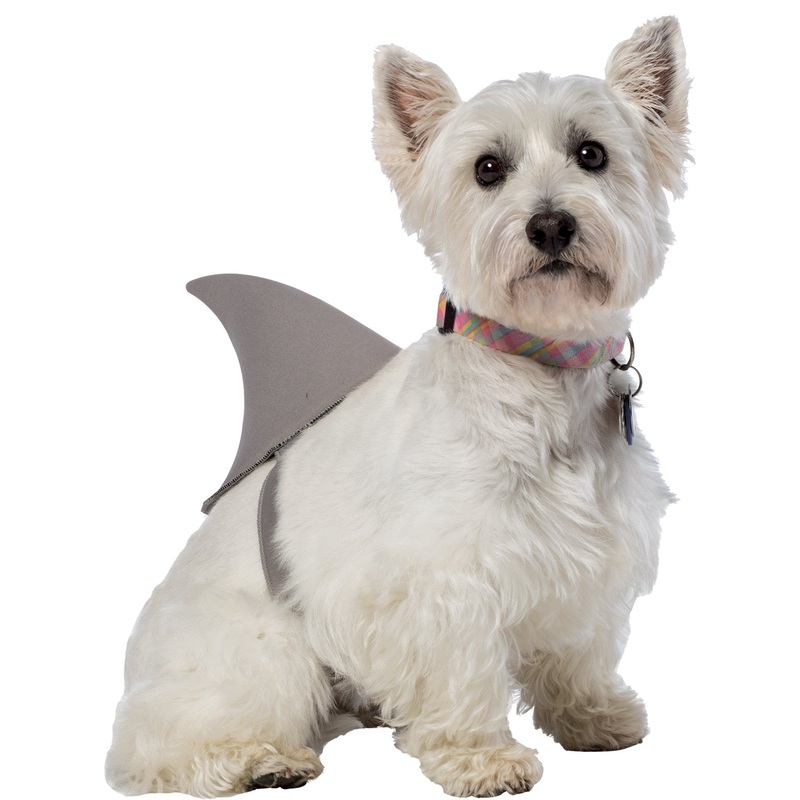 Rasta Imposta Shark Fin Dog Costume, Medium/Large M (Neck: 11″-14″, Girth: 16″-19″, Back: 13″-15″) 1