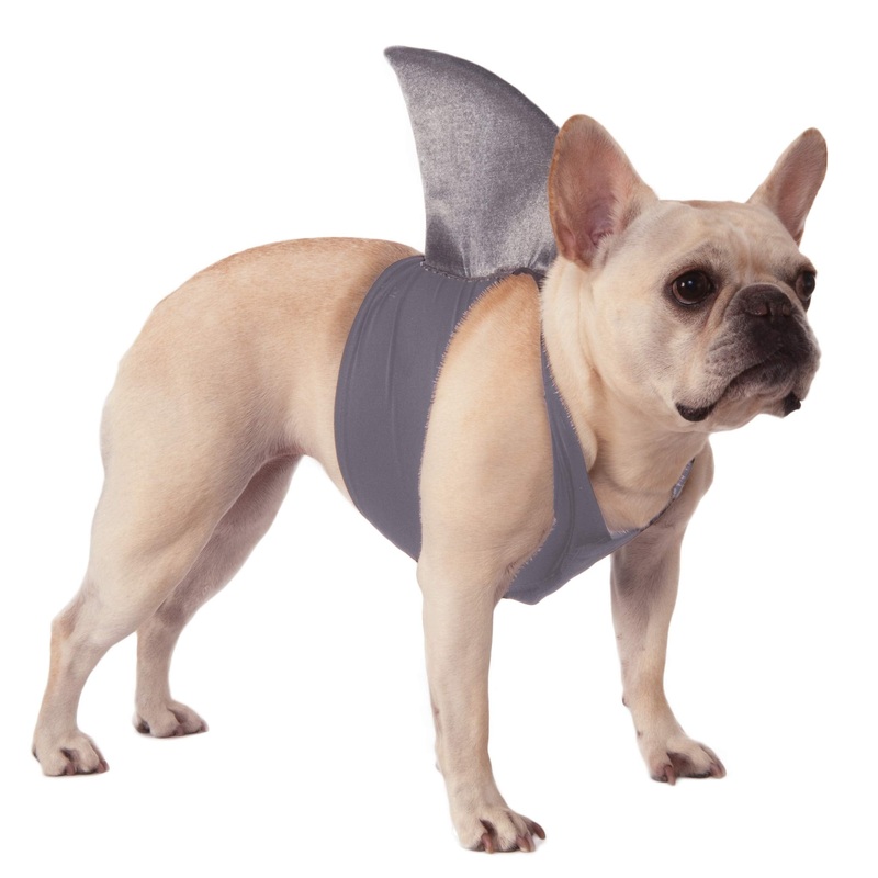 Rubie’s Shark Fin Dog Costume Small/Medium