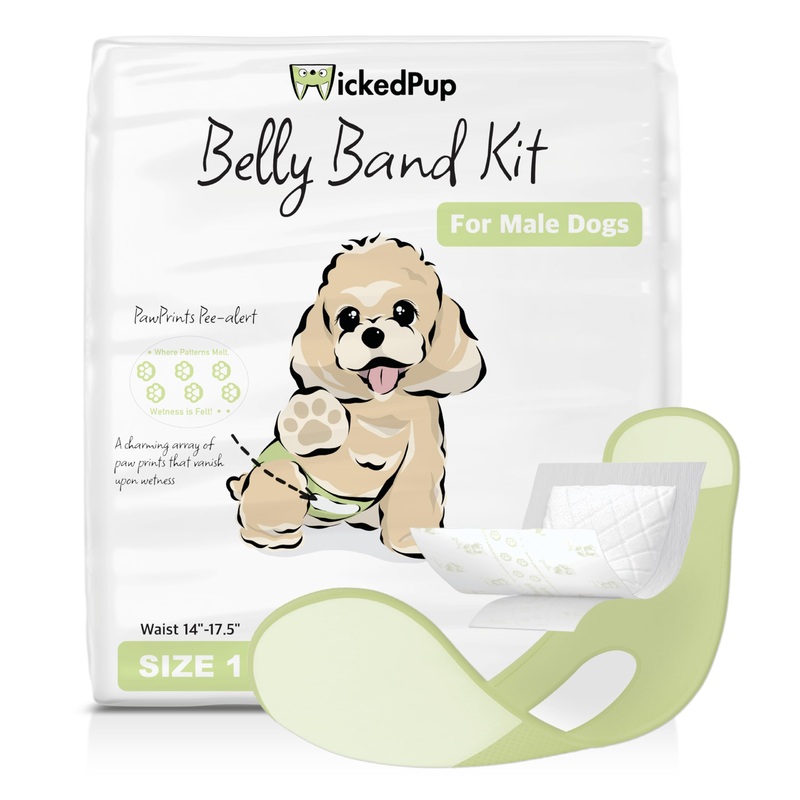 WICKEDPUP Male Dog Belly Band Kit, 50 Diaper Pads & 1 Reusable Male Wrap (Size 1) Size 1 (14″-17.5″ Waist)
