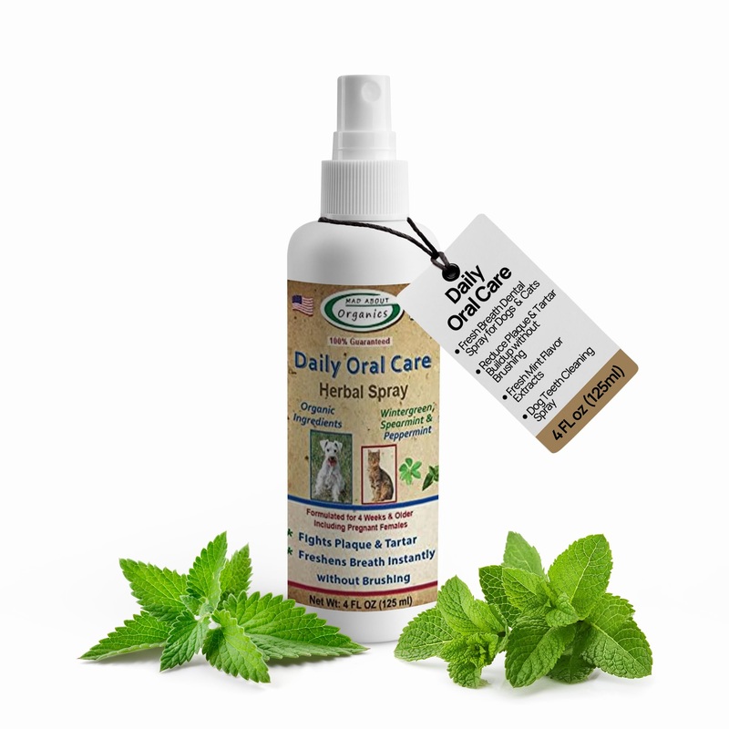 Daily Oral Care Herbal Spray for Dogs & Cats – Wintergreen, Spearmint & Peppermint Formula, Reduces Plaque & Tartar for Fresh Breath, Simple No-Brush Dental Solution, 4oz Bottle