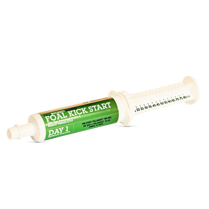 Equine Foal Kickstart Paste  Ideal for Newborn Foals on Day 1 to Support Healthy Immune & Digestive System Health, 1 Tube