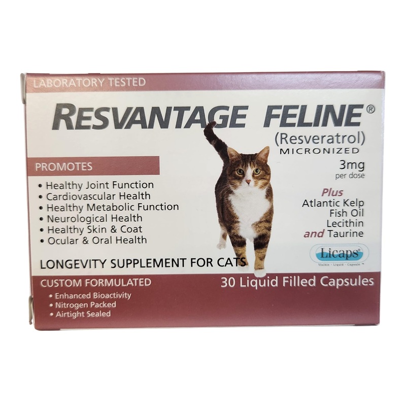 Feline – Resveratrol – The Longevity Supplement for Cats – 30 Capsules