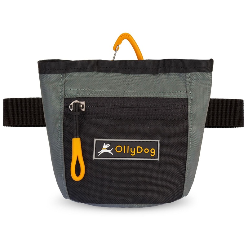 OllyDog Goodie Treat Bag, Dog Treat Pouch, Waist Belt Clip for Hands-Free Training, Magnetic Closure, Dog Training and Behavior Aids, Three Ways to Wear (Juniper) Juniper