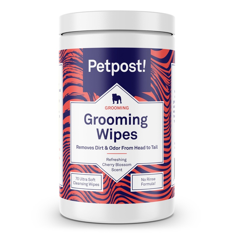 Petpost | Grooming Wipes for Dogs – Large, Deodorizing Wipes with Cherry Blossom Scent – 70 Ultra Soft Cotton Pads in Cleansing Solution – Cherry Blossom Scent 70 ct.
