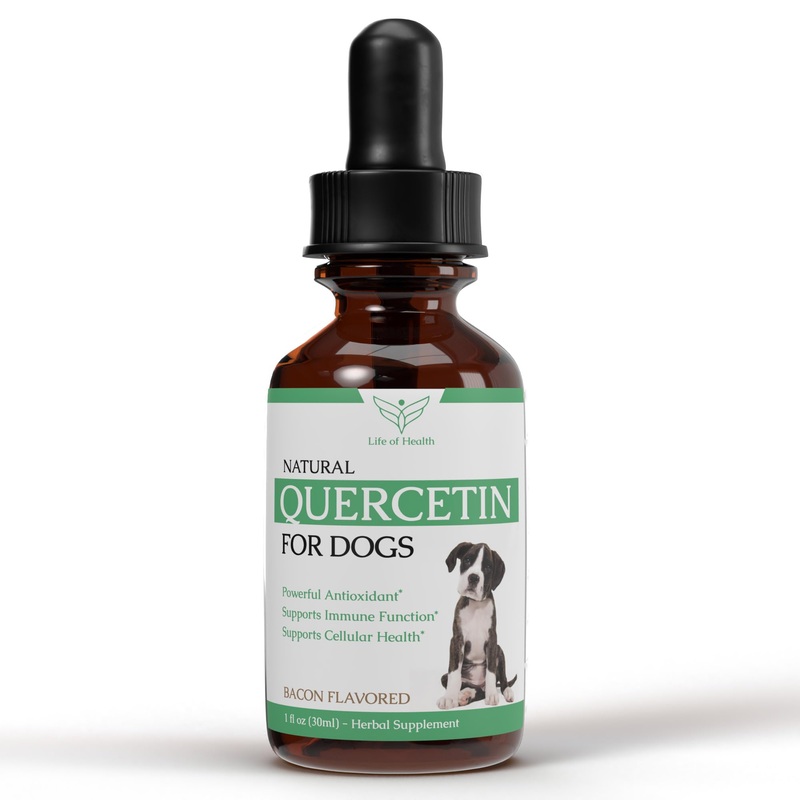 Quercetin for Dogs – Quercetin for Dogs Allergies – Dog Allergy Support – Dog Allergy – Quercetin – Quercetin Dog – Dog Allergies – Quercetin Supplements – Dog Allergy Relief – 1 fl oz